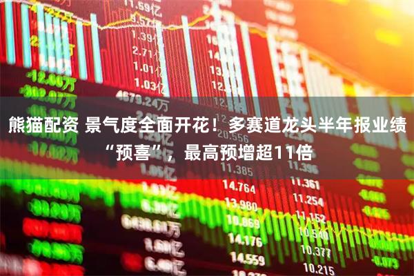 熊猫配资 景气度全面开花！多赛道龙头半年报业绩“预喜”，最高预增超11倍